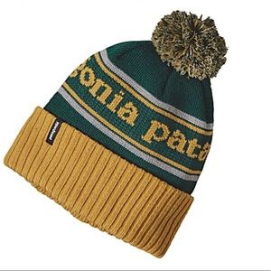NWT Patagonia Powder Town Beanie - sold out everywhere!